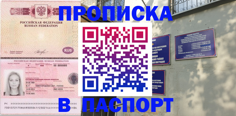 прописка в Волоколамске